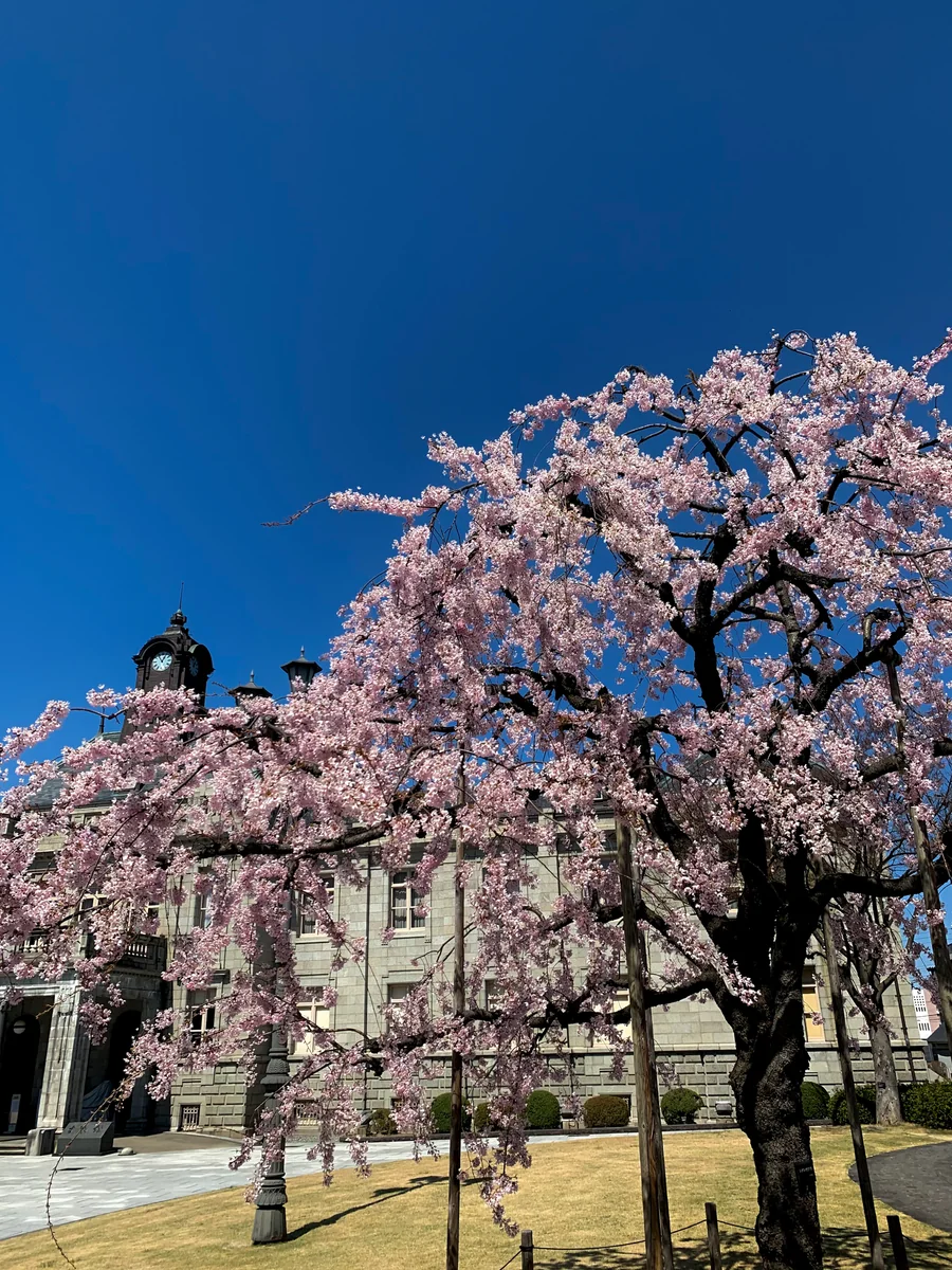投稿写真：文翔館