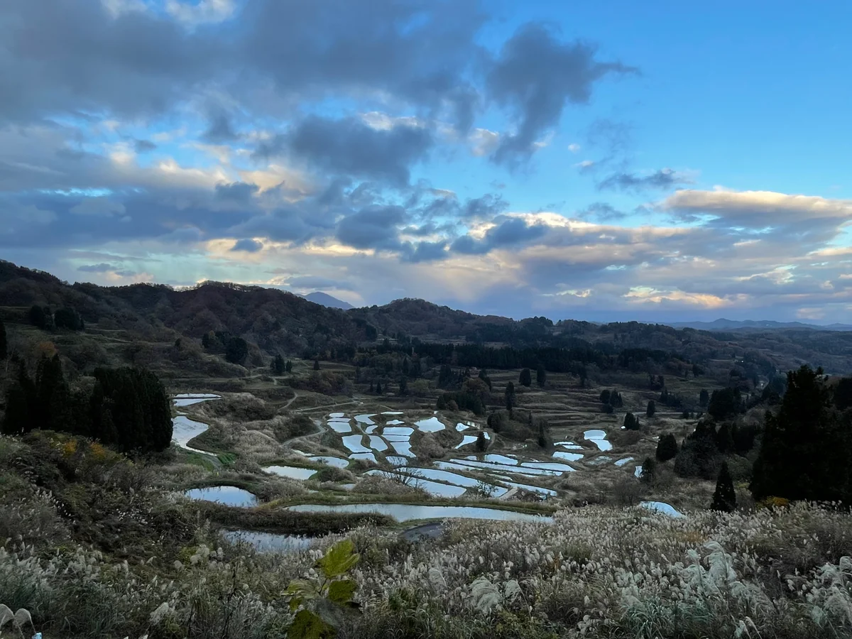 投稿写真：刈り取り後の星峠