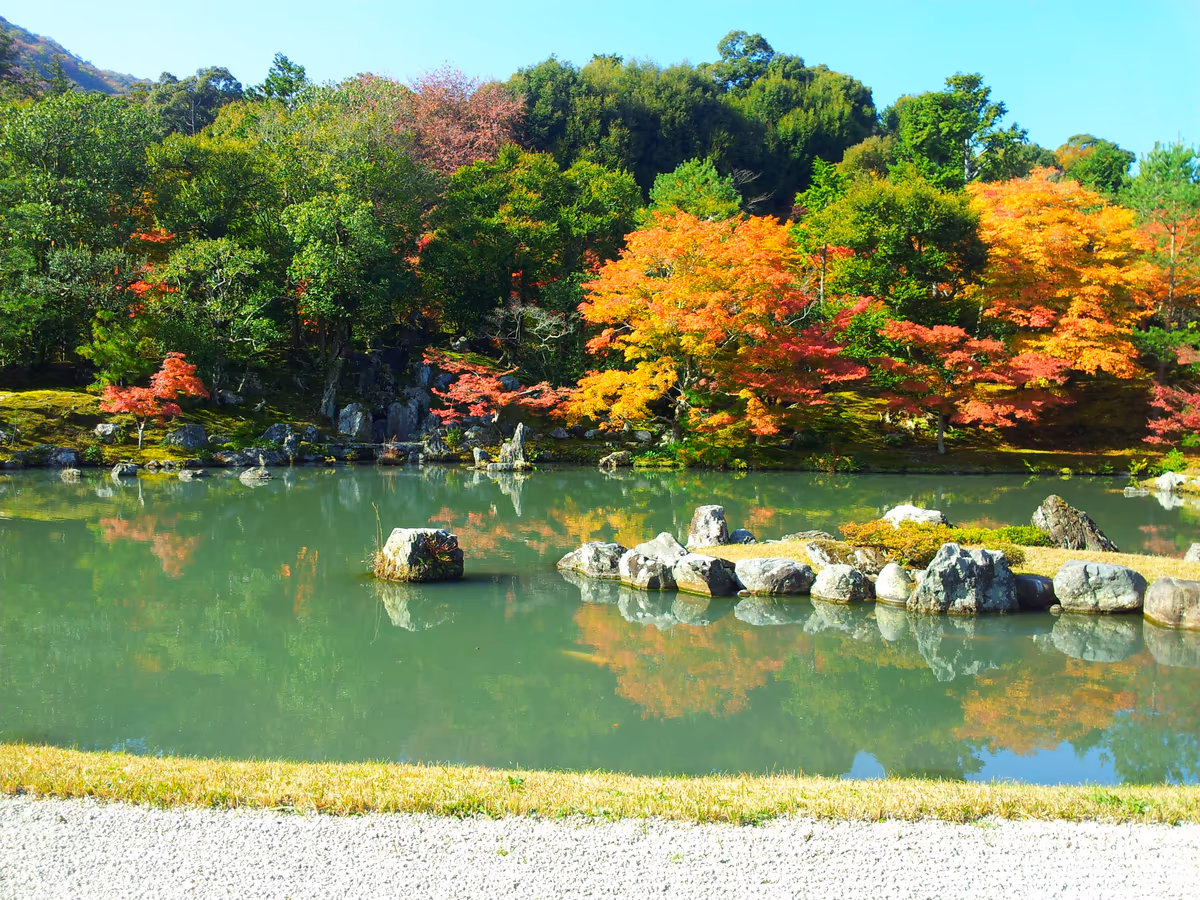 投稿写真：京都 天龍寺