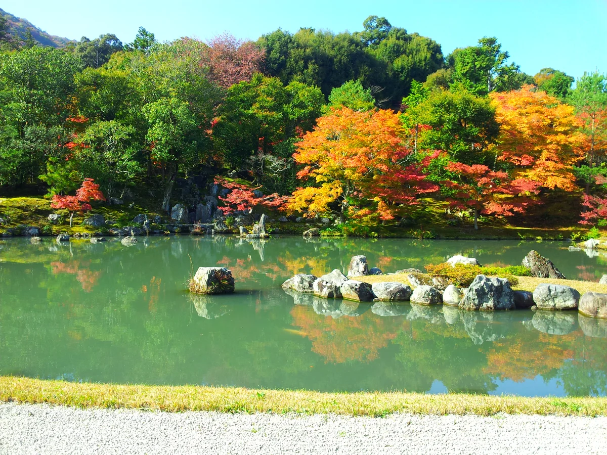 投稿写真：京都 天龍寺