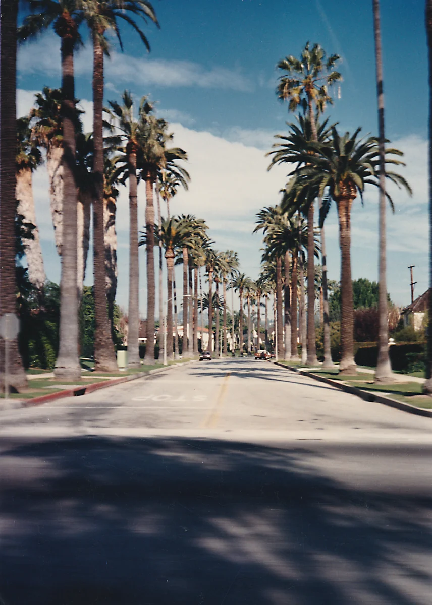 投稿写真：ビバリーヒルズ付近