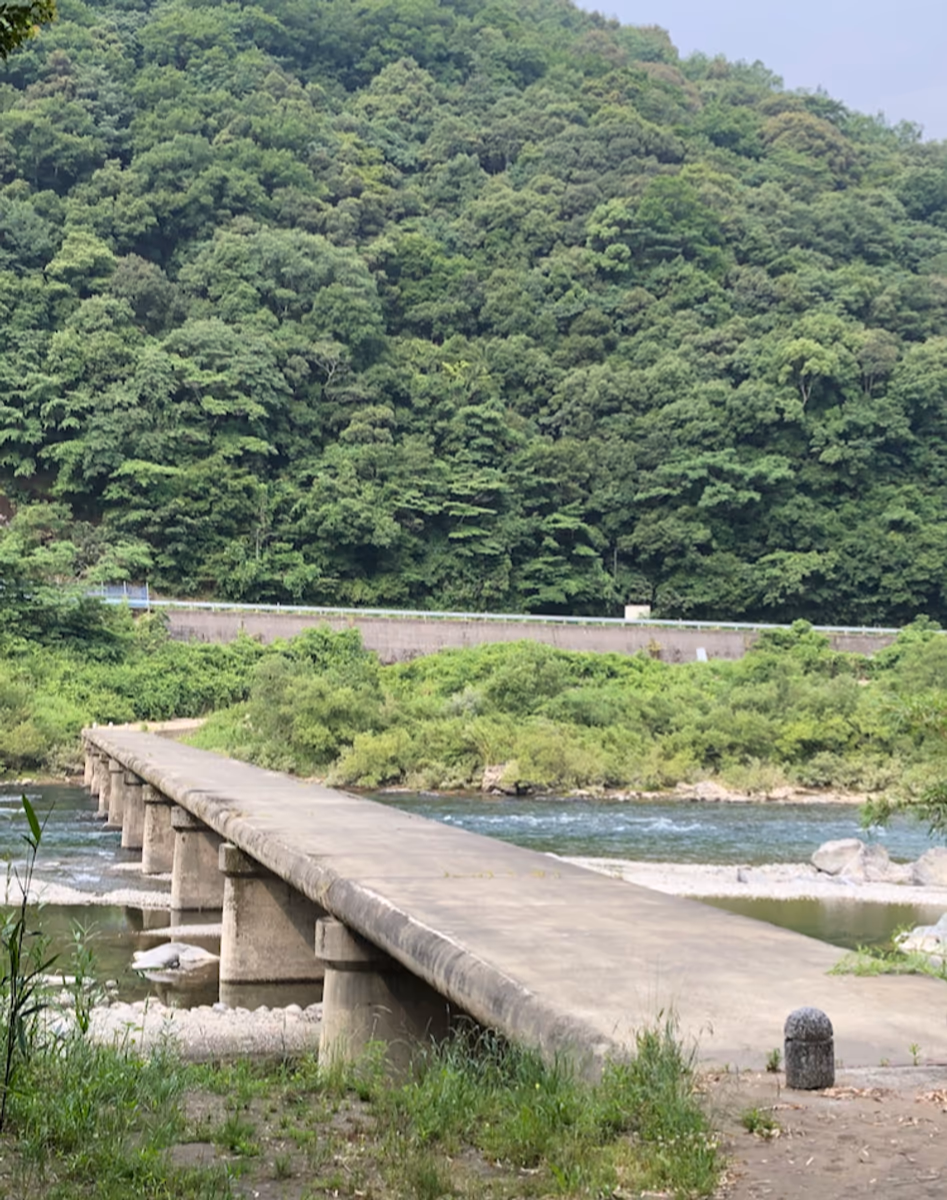 投稿写真：中半家沈下橋
