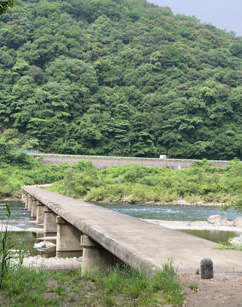 投稿写真：中半家沈下橋