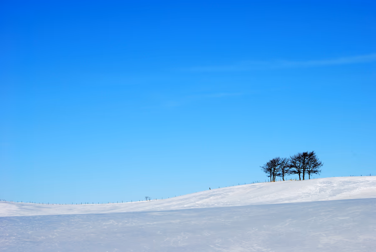 投稿写真：北海道標津町の風景