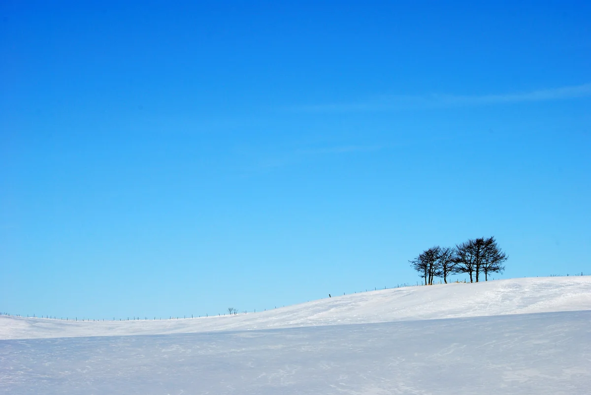 投稿写真：北海道標津町の風景