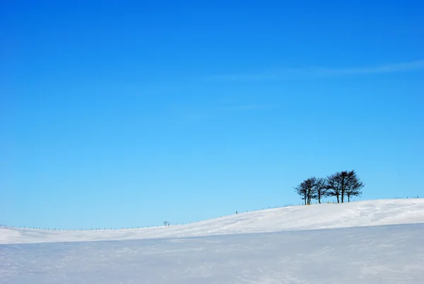 投稿：北海道標津町の風景