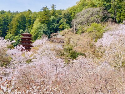  | 絶景事典