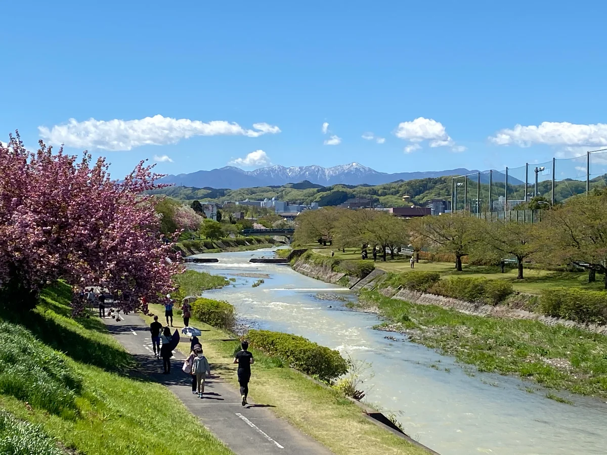 投稿写真：浅川からの檜洞丸