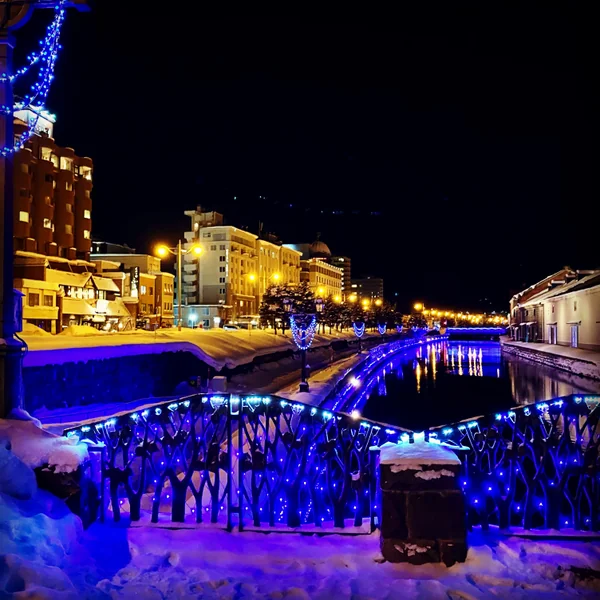 投稿：人がいないイルミネーション