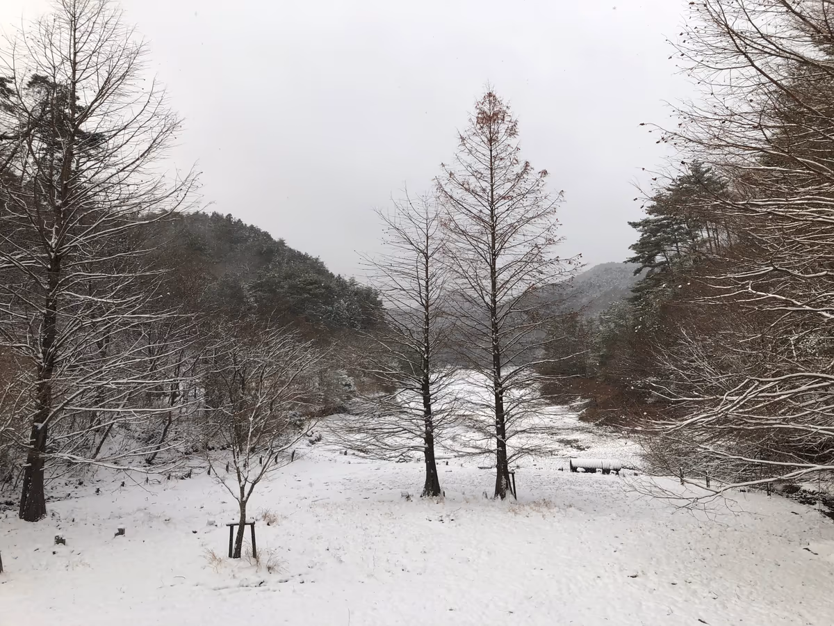 投稿写真：二人連れ
