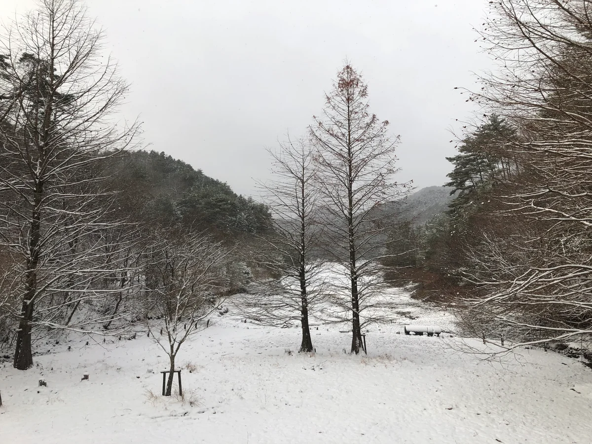 投稿写真：二人連れ