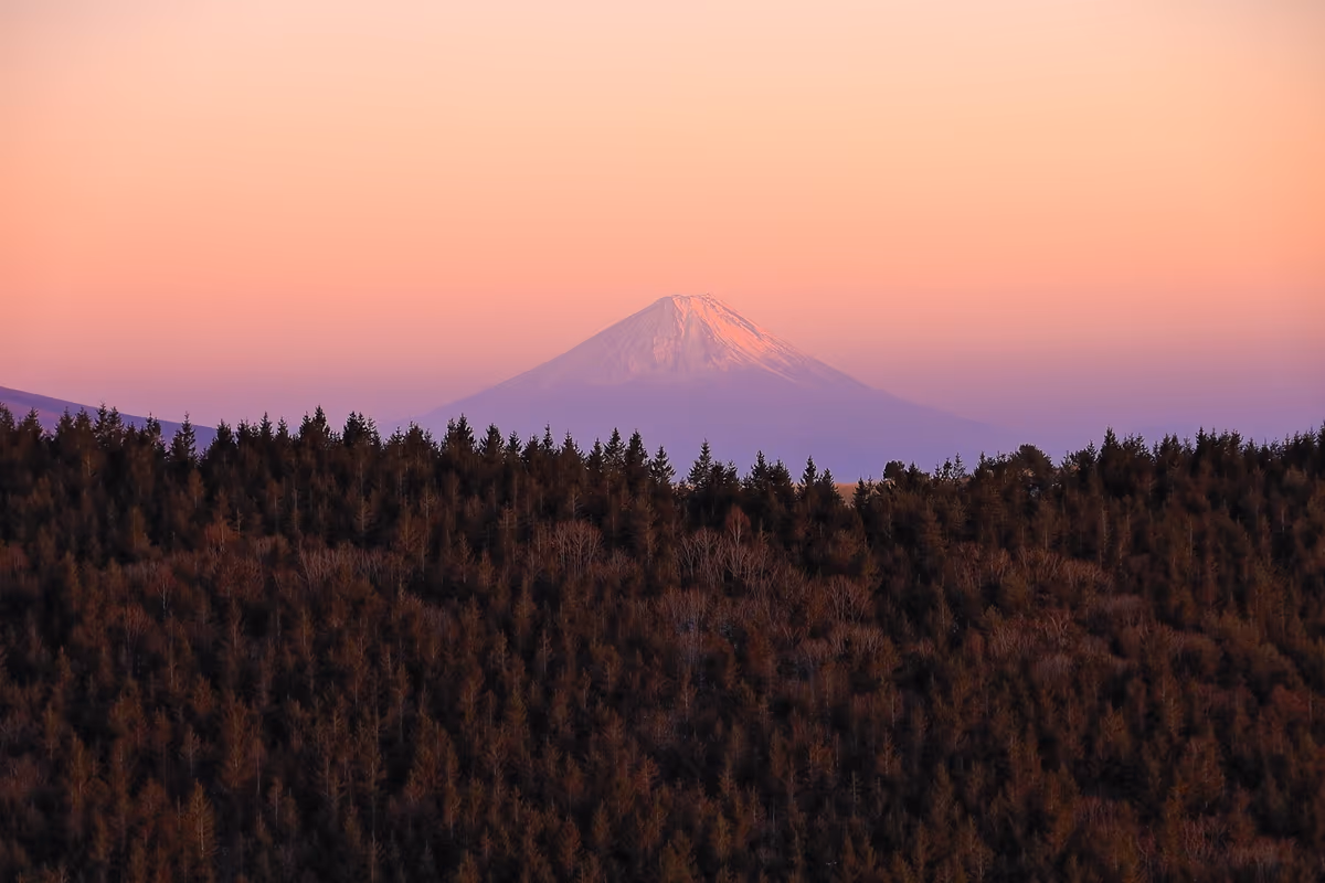 投稿写真：春霞