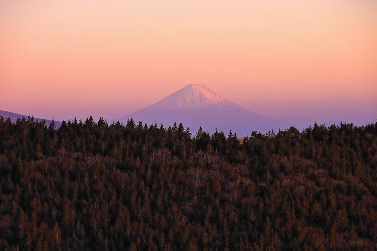投稿写真：春霞
