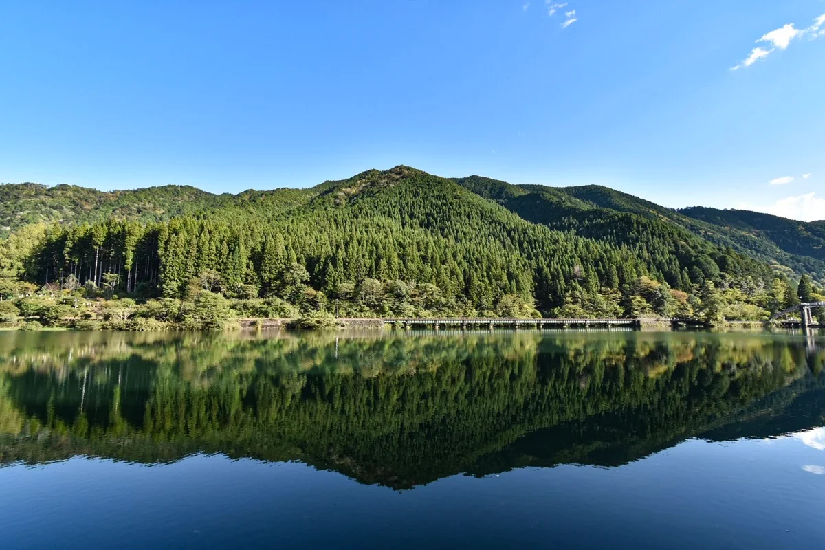 投稿写真：リフレ