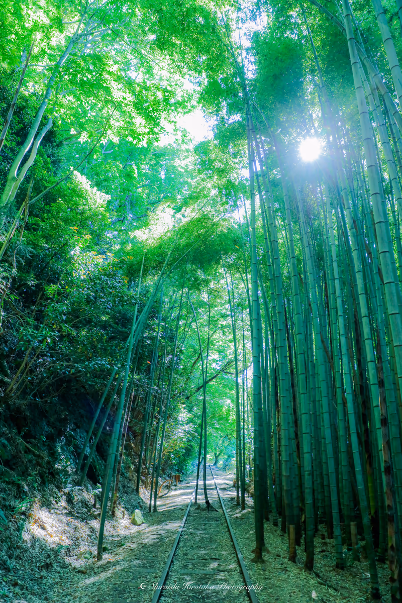 HIRO_PHOTOGRAPHYさんの投稿写真