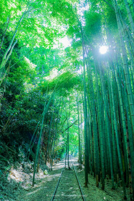  | 絶景事典