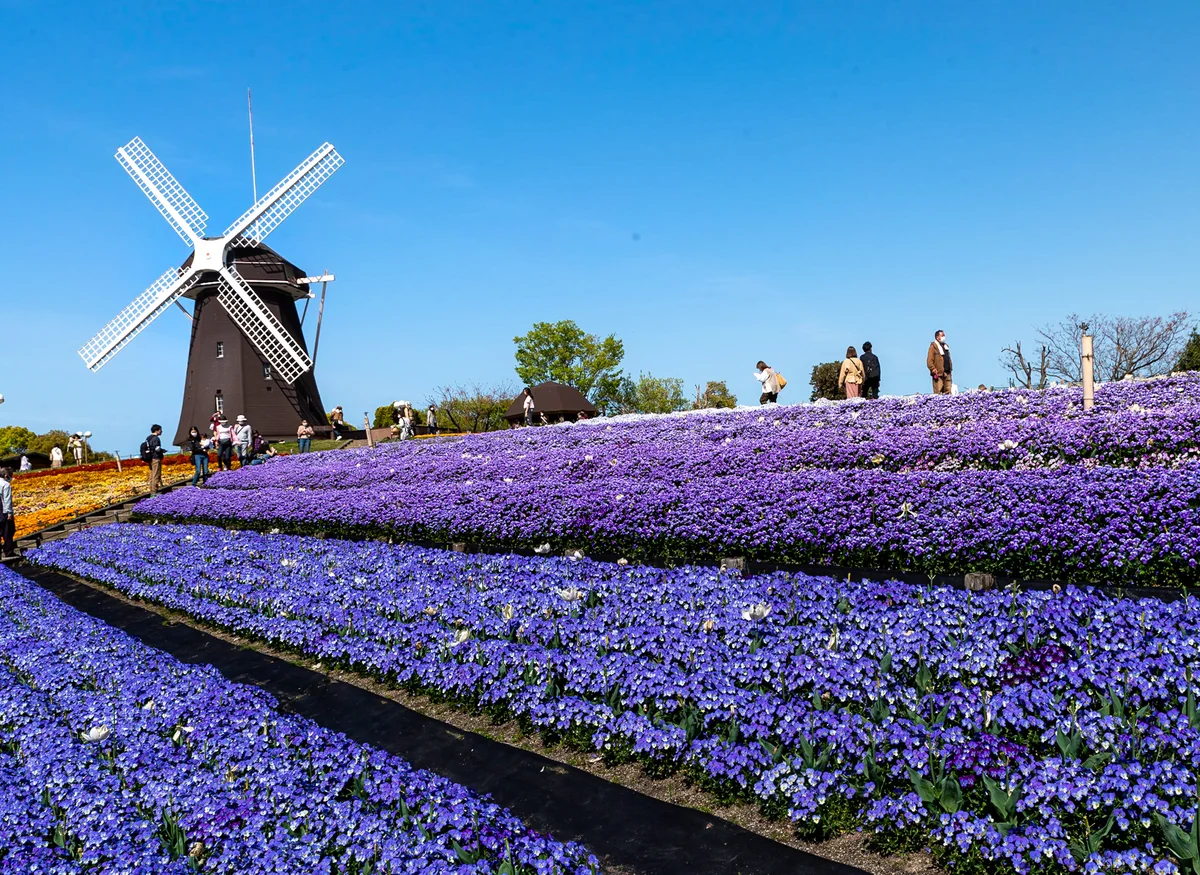 投稿写真：鶴見緑地