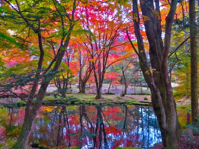  | 絶景事典