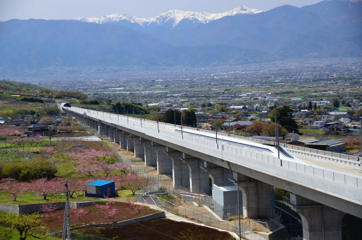 投稿写真：春に疾走