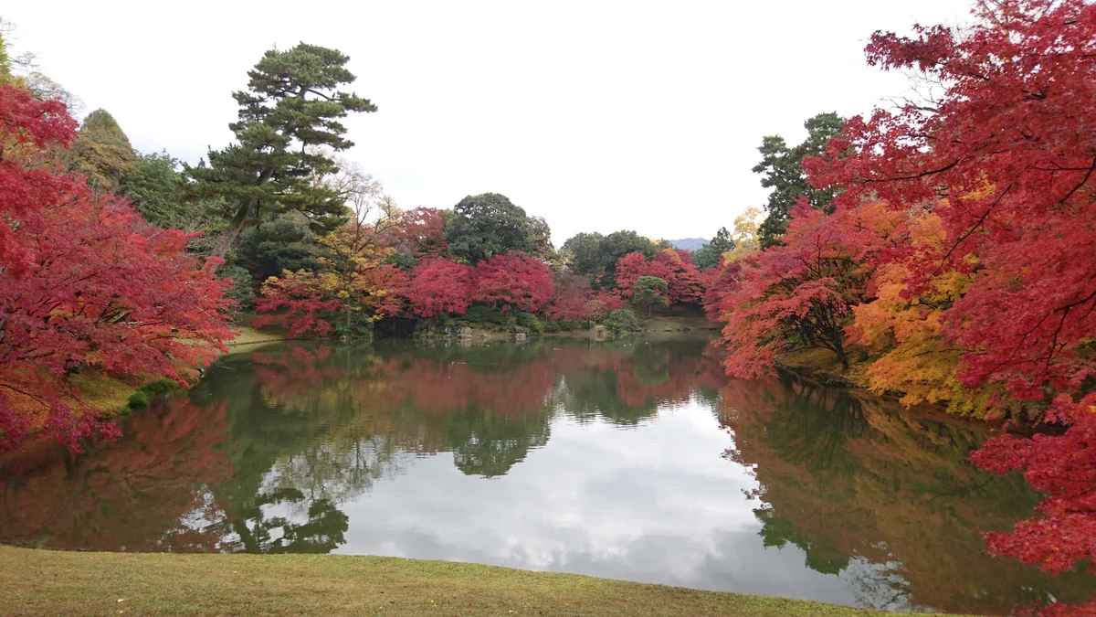 投稿写真：仙洞御所