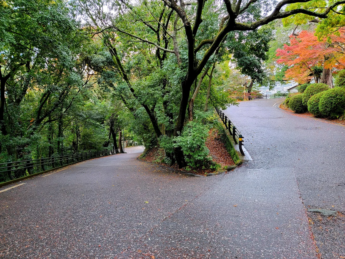 投稿写真：ヘアピンカーブ