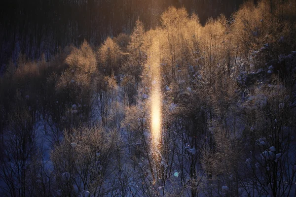 投稿：サンピラー