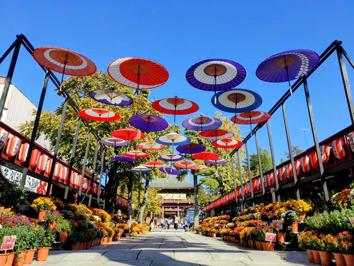 投稿写真：笠間の菊まつり