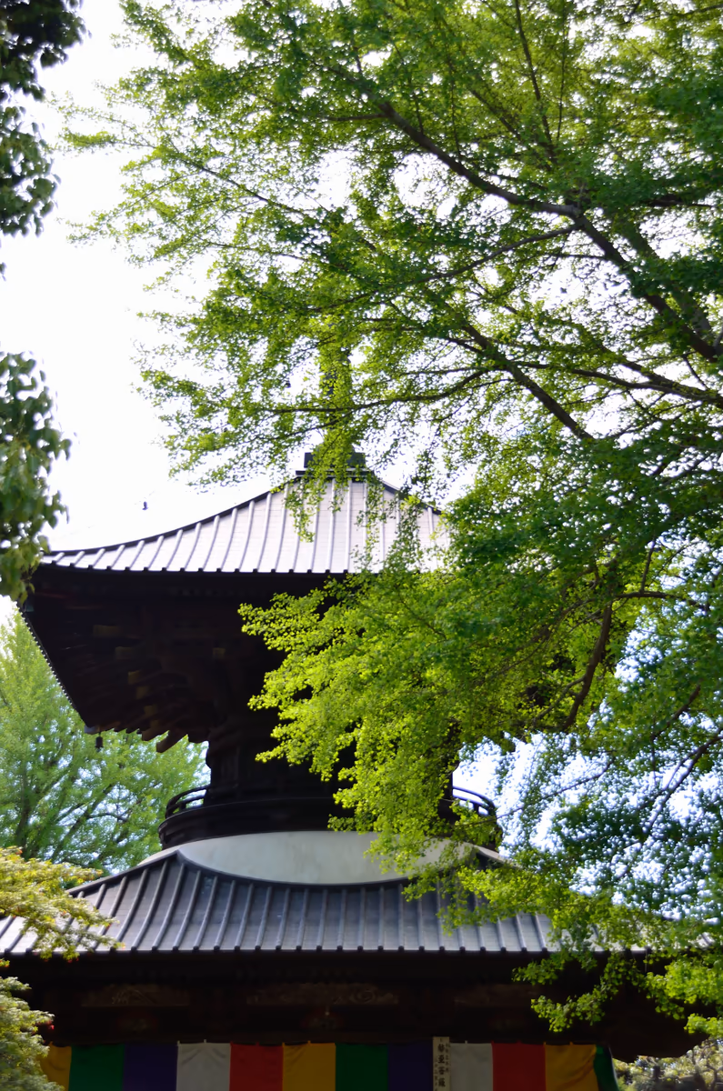 投稿写真：鑁阿寺多宝塔