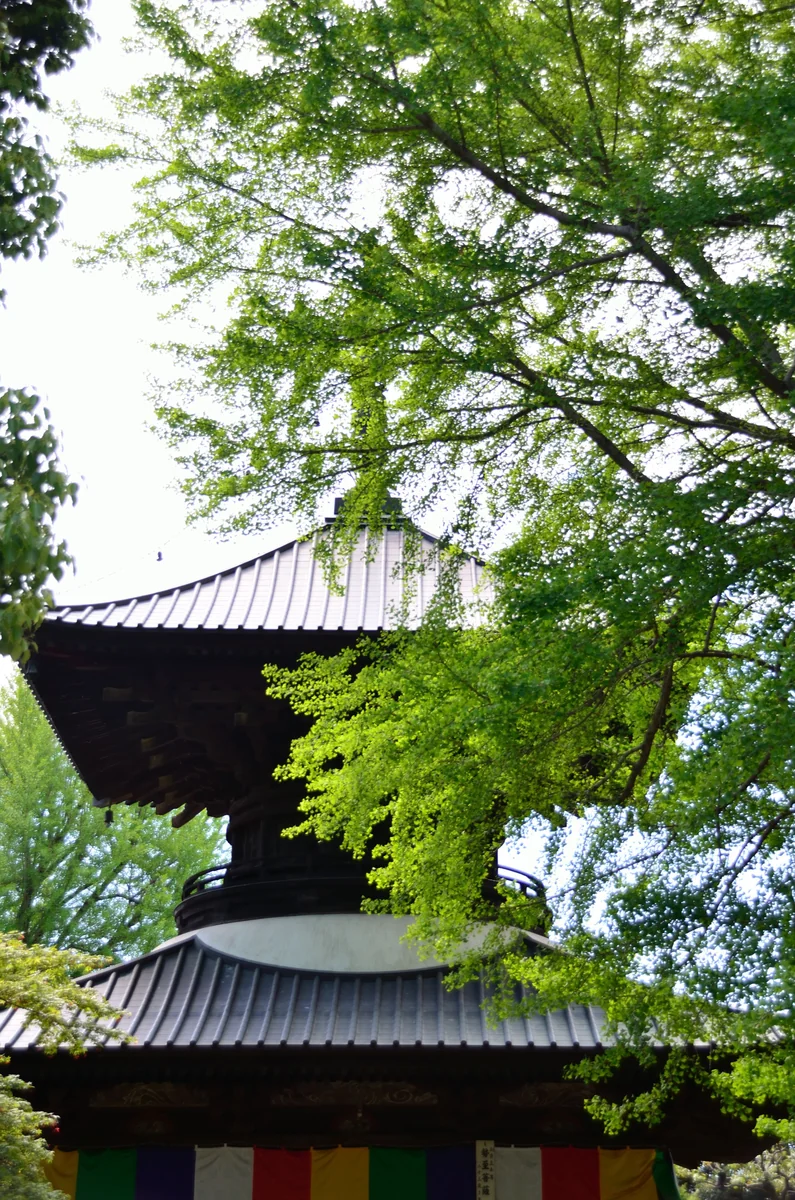 投稿写真：鑁阿寺多宝塔