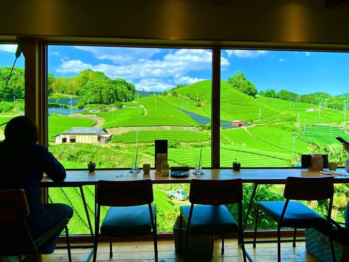 投稿写真：絶景にもほどがある❣️日本遺産「石寺の茶畑」を臨むカフェ