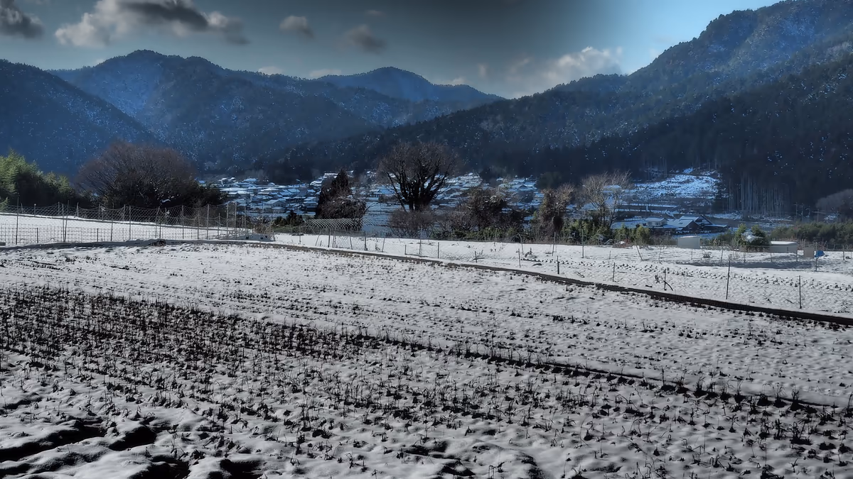 投稿写真：冬の大原の里