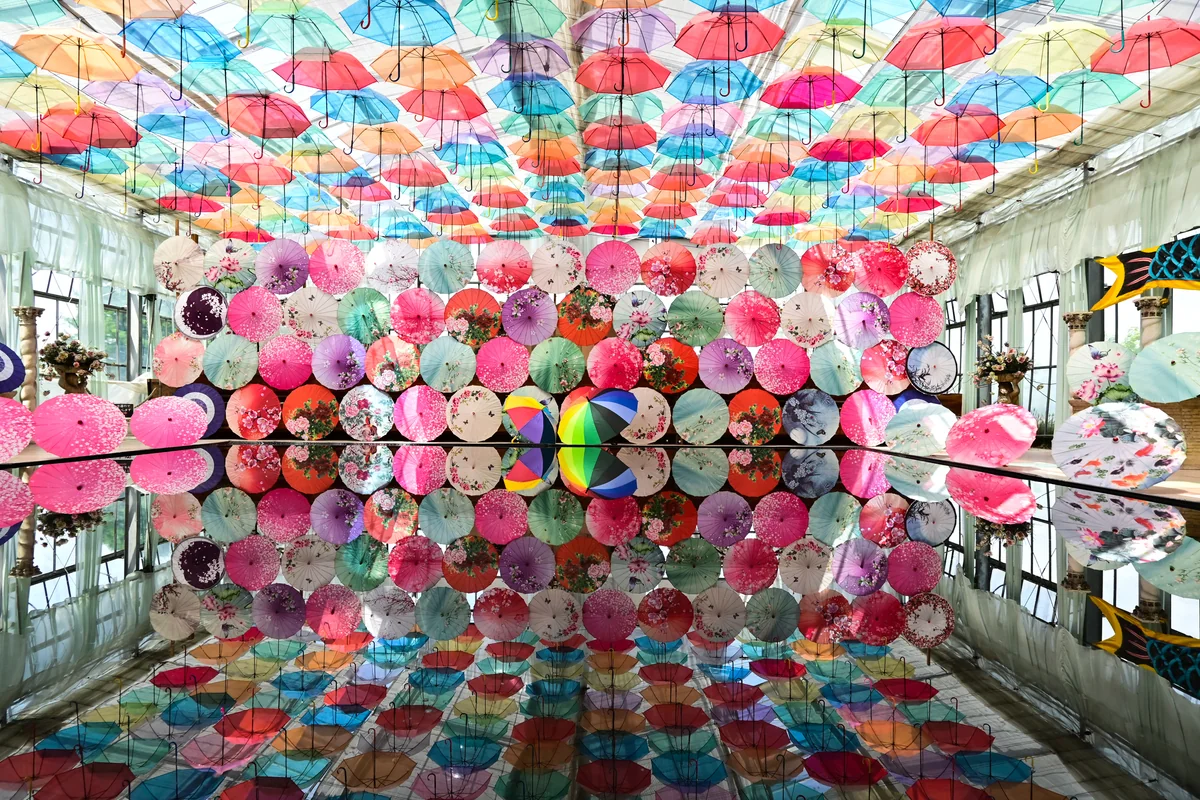 投稿写真：アンブレラスカイ