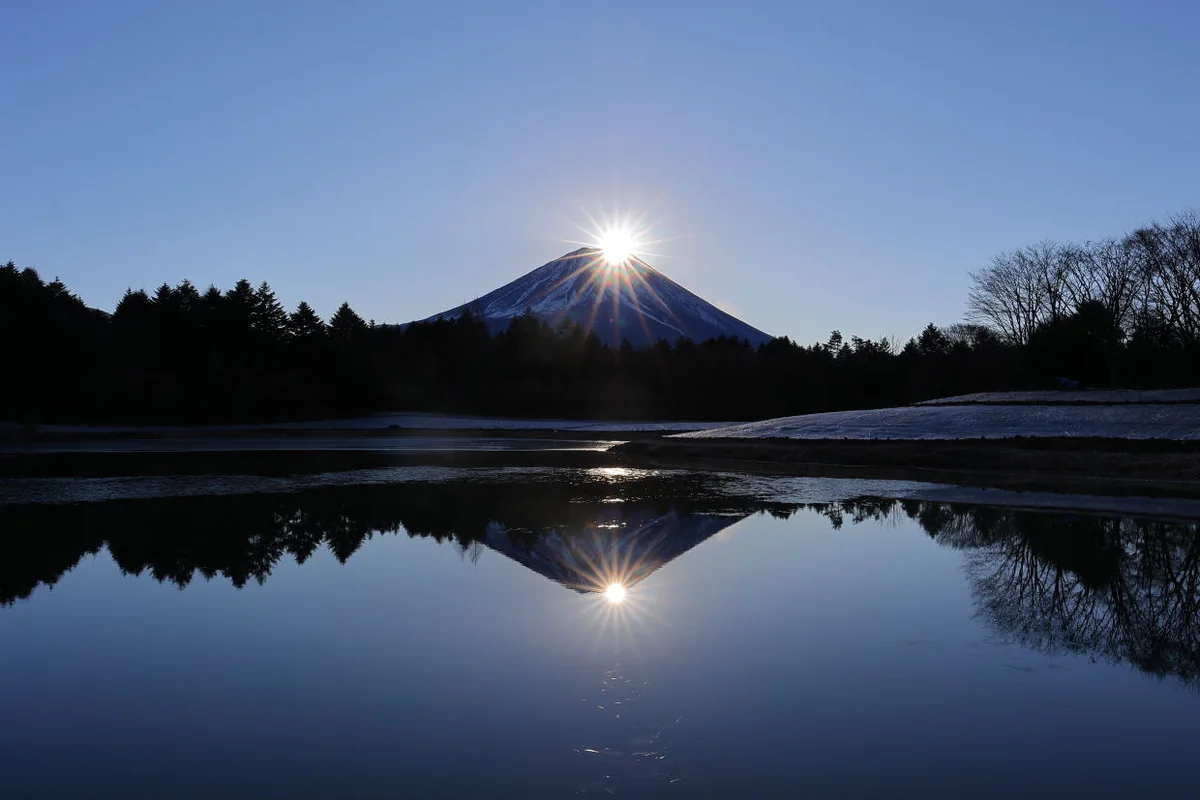 投稿写真：新年のダブル