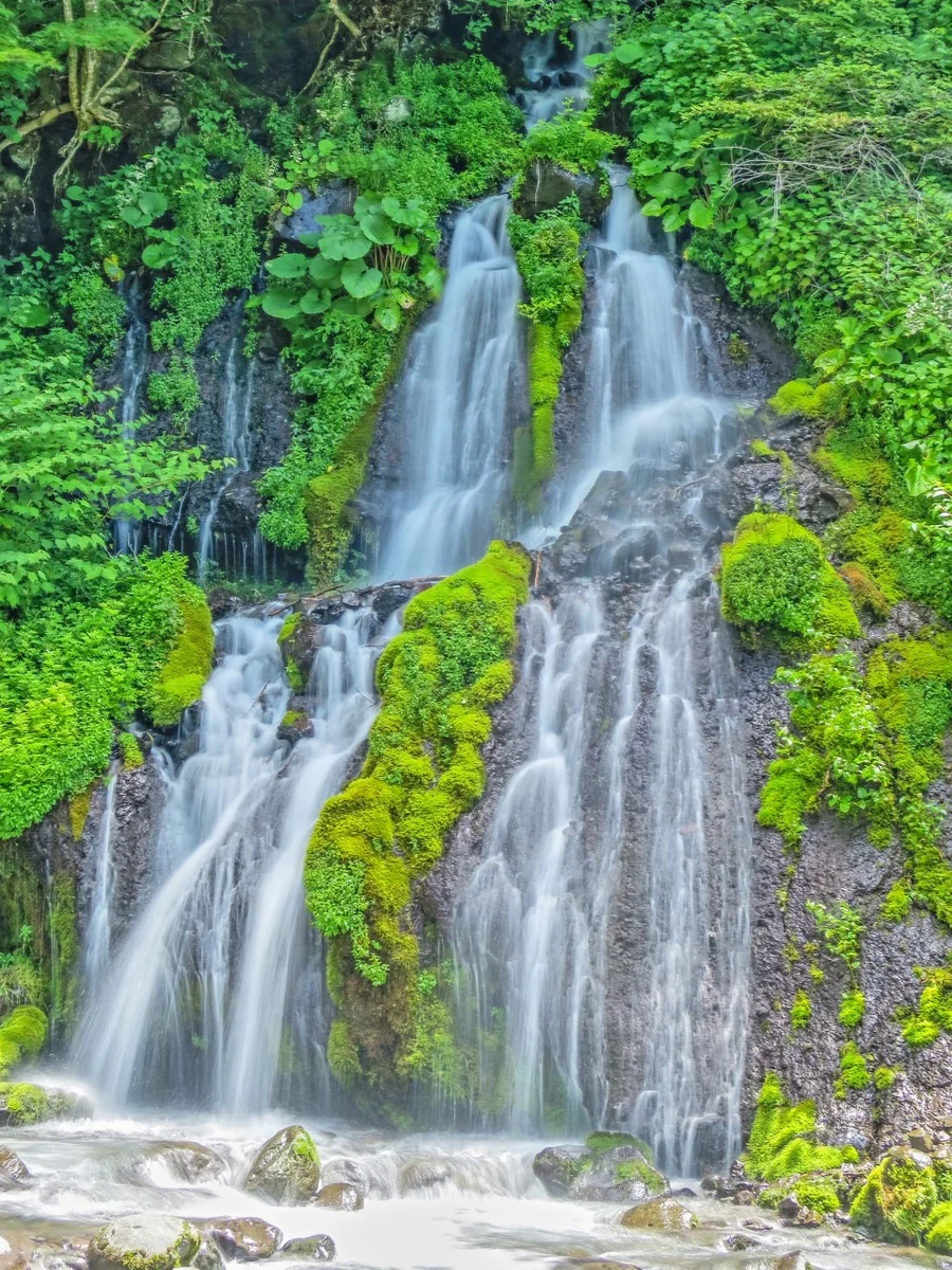 投稿写真：吐竜の滝