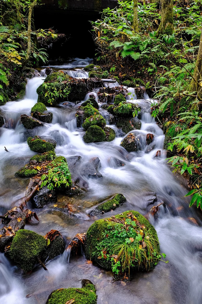 投稿写真：奥入瀬１