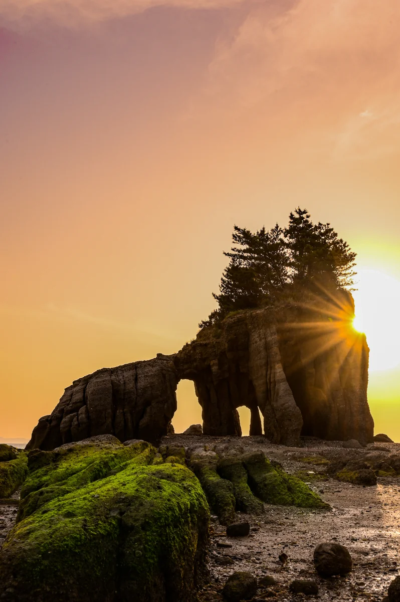 投稿写真：自然の造形美