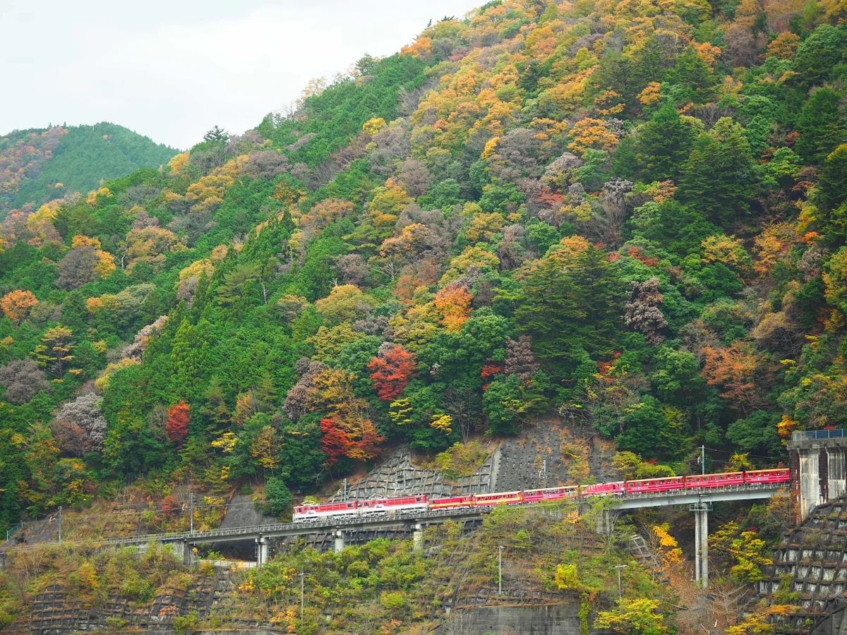 投稿写真：大井川鉄道　井川線　アプト式