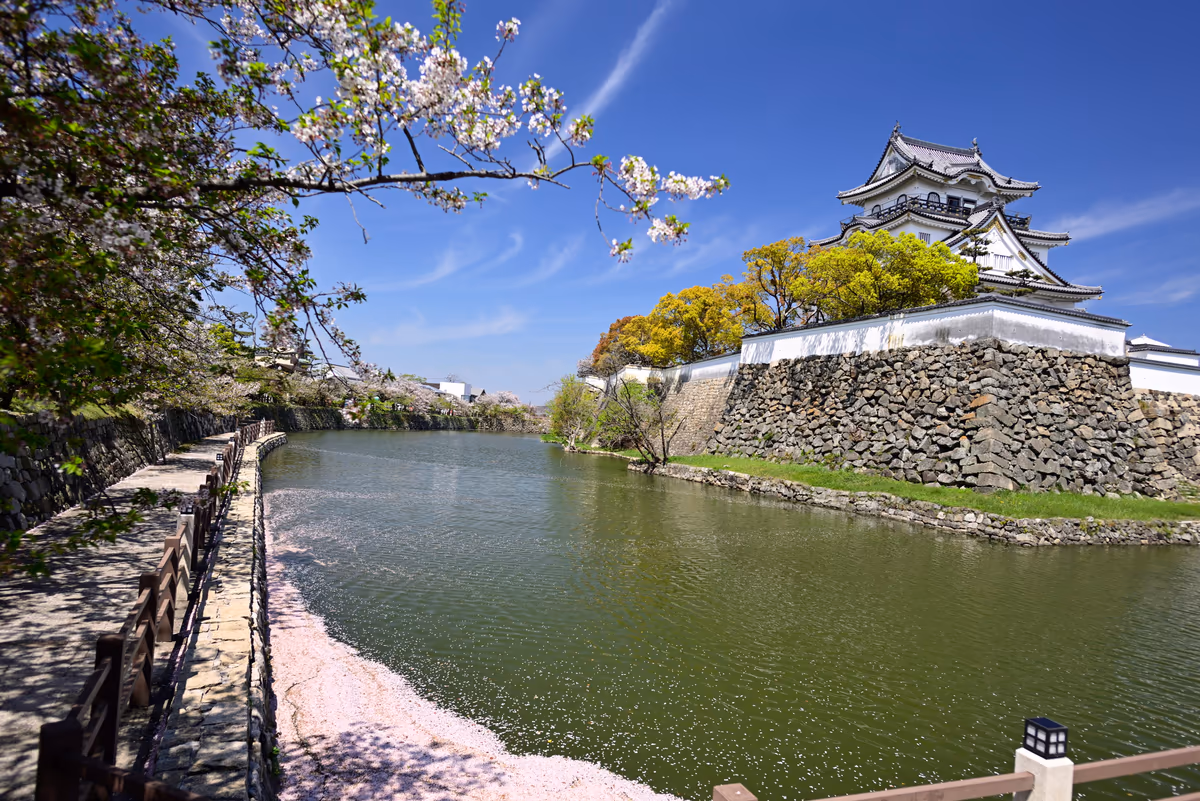 投稿写真：平成最後のサクラ