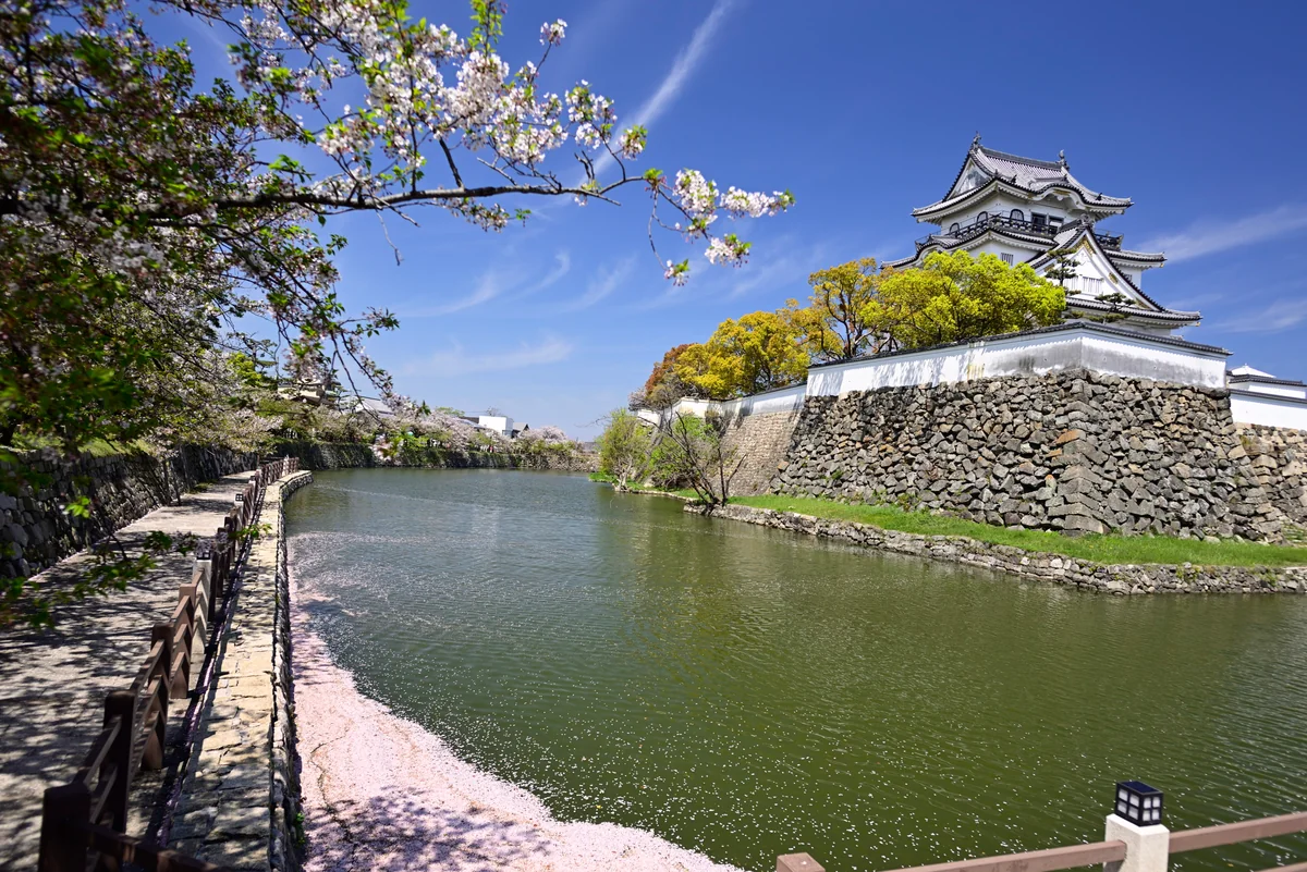 投稿写真：平成最後のサクラ