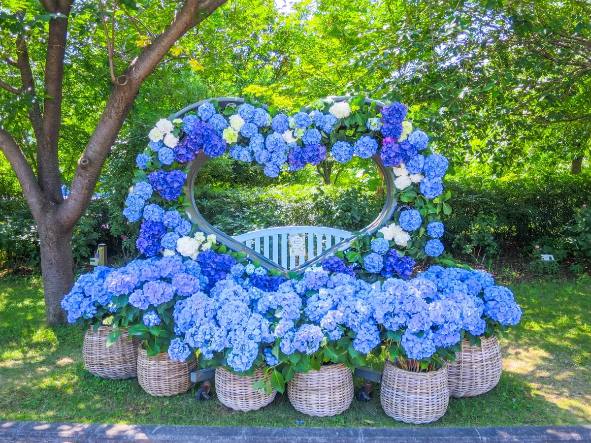 投稿写真：アジサイのモニュメント