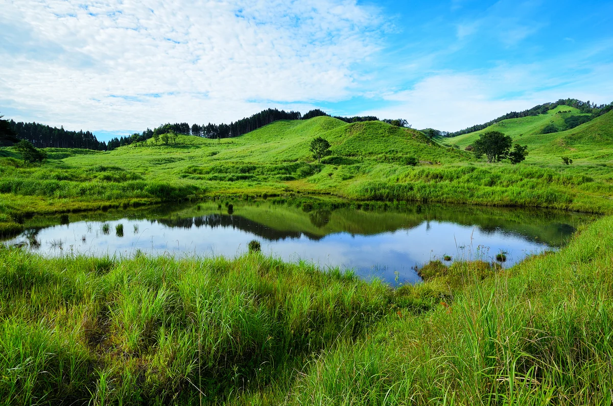 投稿写真：砥峰高原_201808