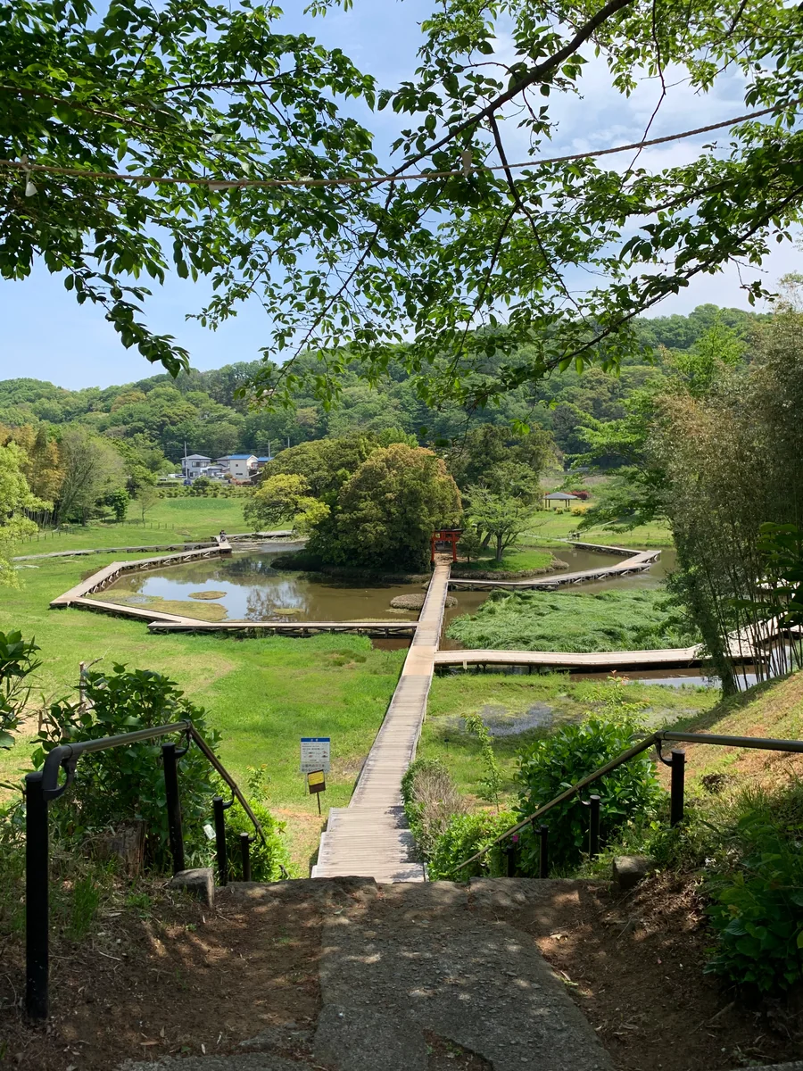 投稿写真：巌島神社