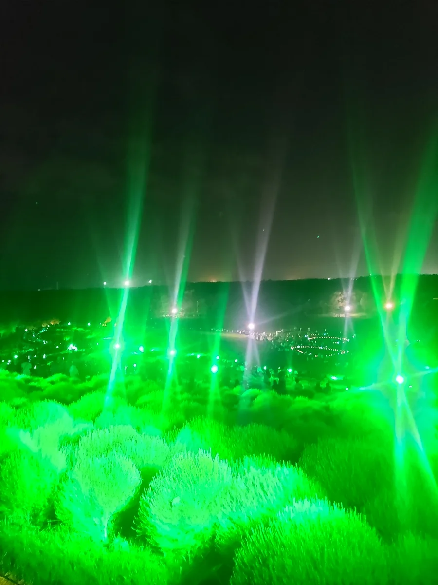 投稿写真：コキアライトアップ