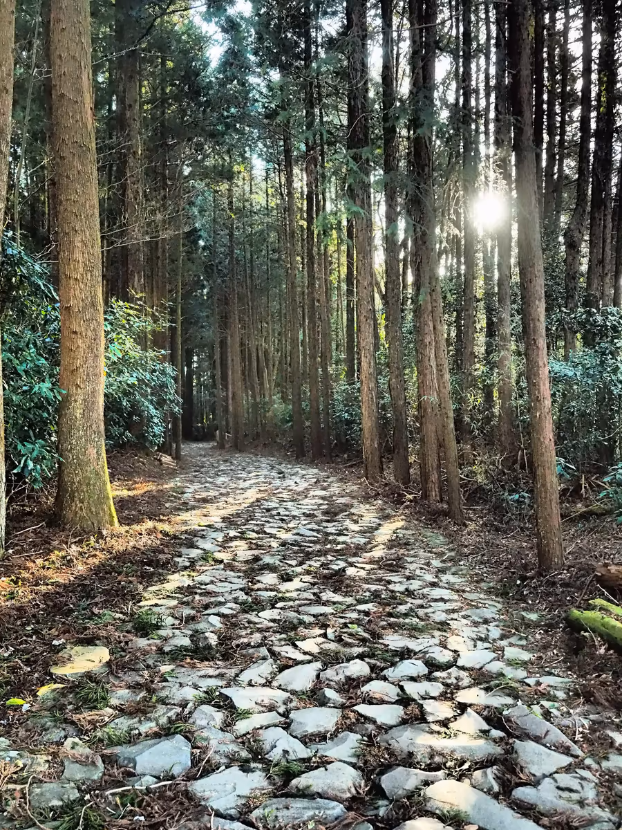 投稿写真：旧東海道石畳道