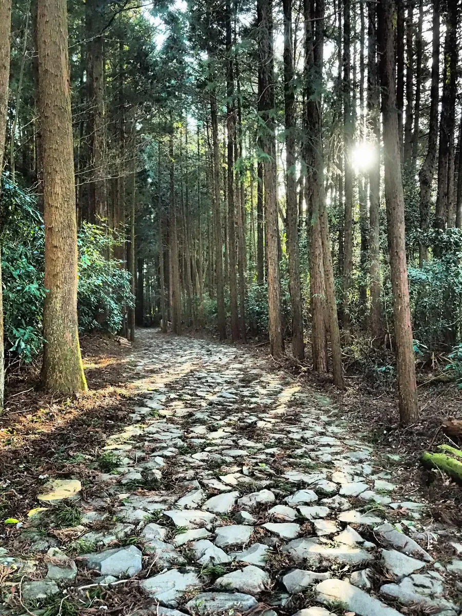 投稿写真：旧東海道石畳道