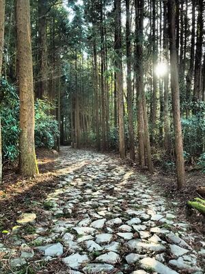  | 絶景事典