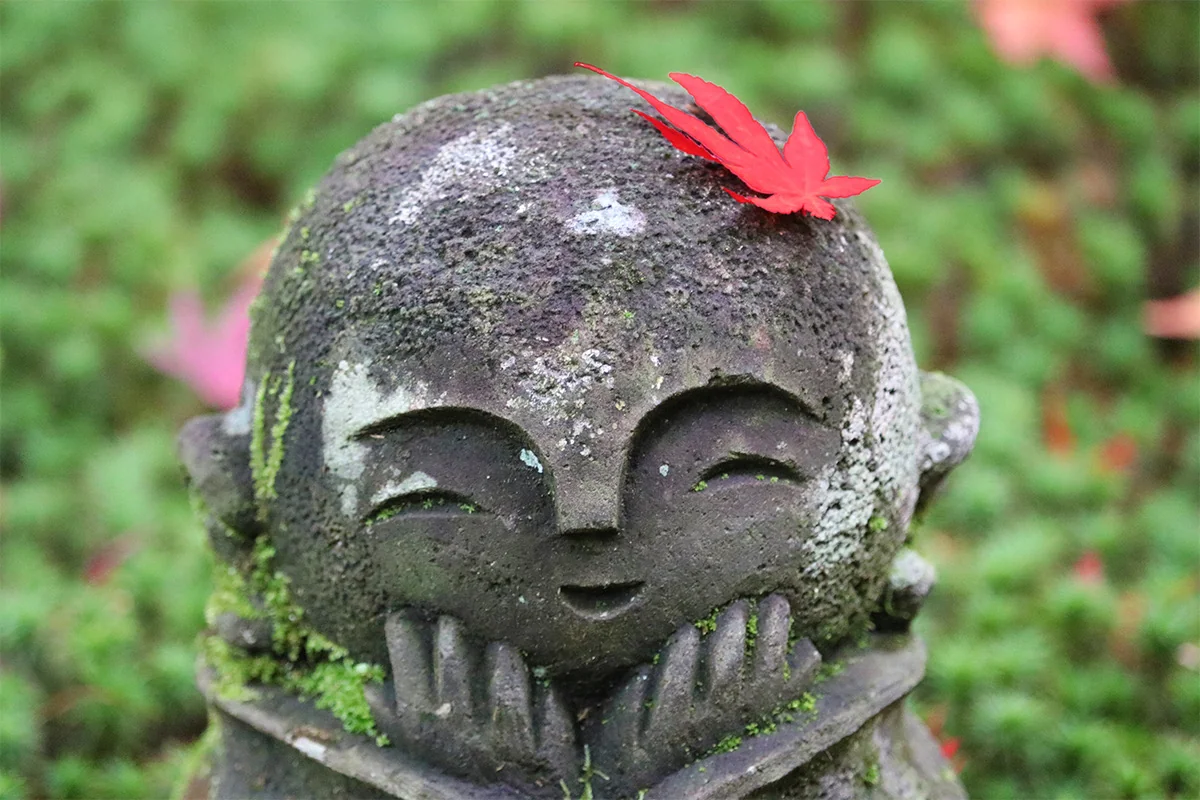 投稿写真：Enkoji-ji 圓光寺