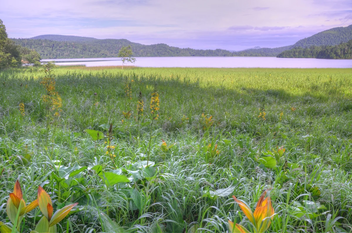 投稿写真：尾瀬沼湖畔にて