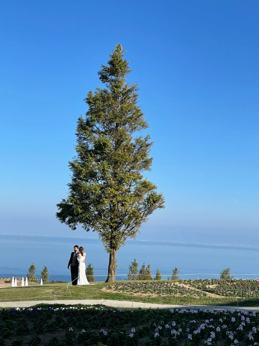 投稿写真：花さじき　ウエディング