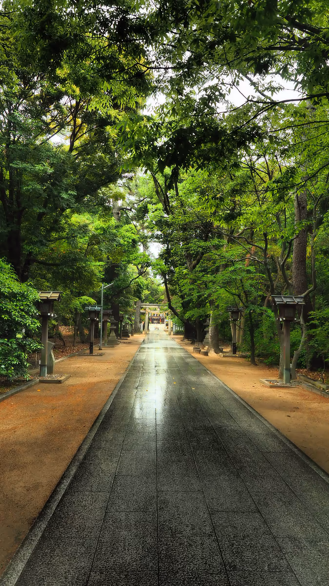 投稿写真：辛國神社参道